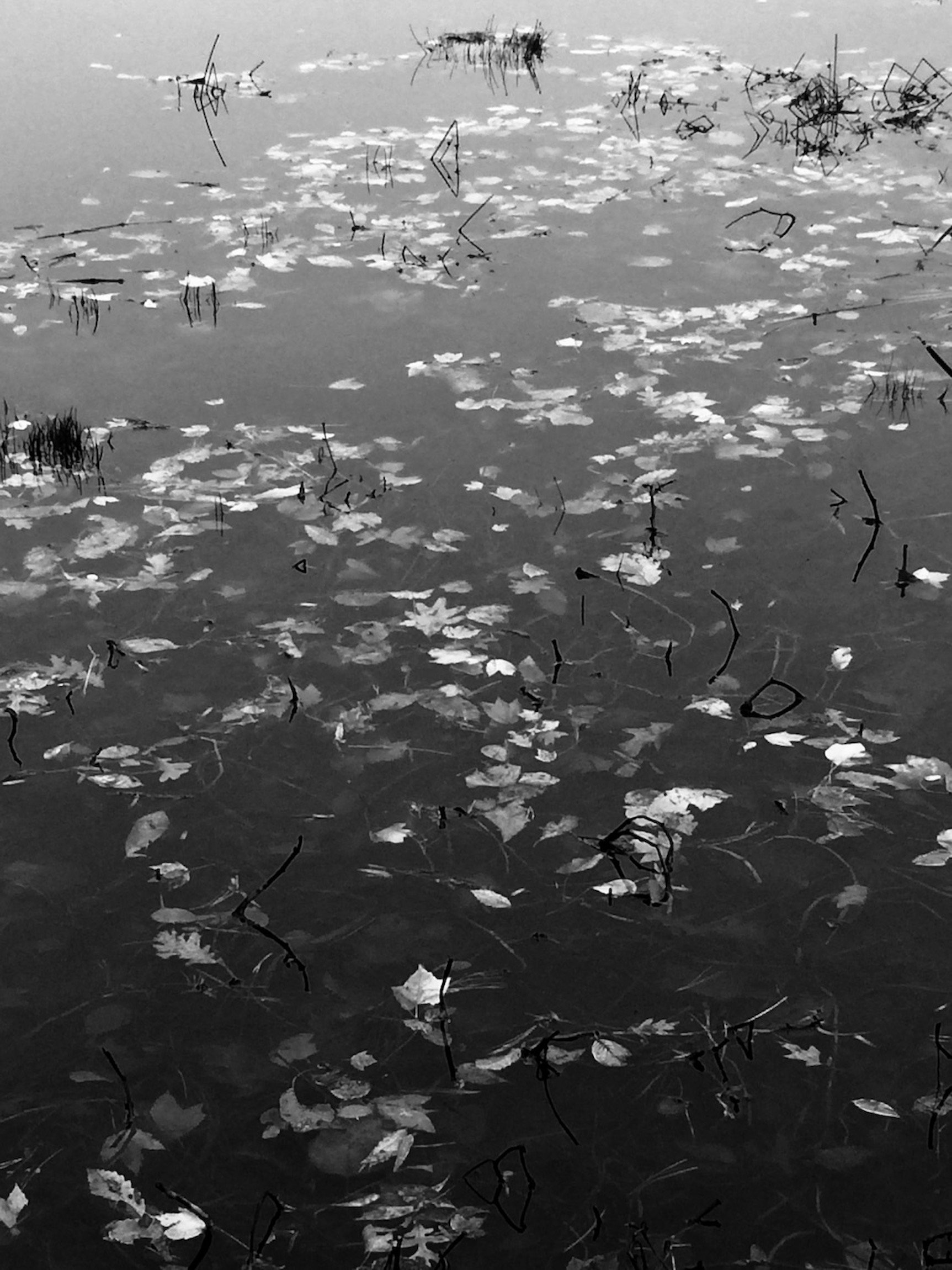 self-discovery using photography.jpeg