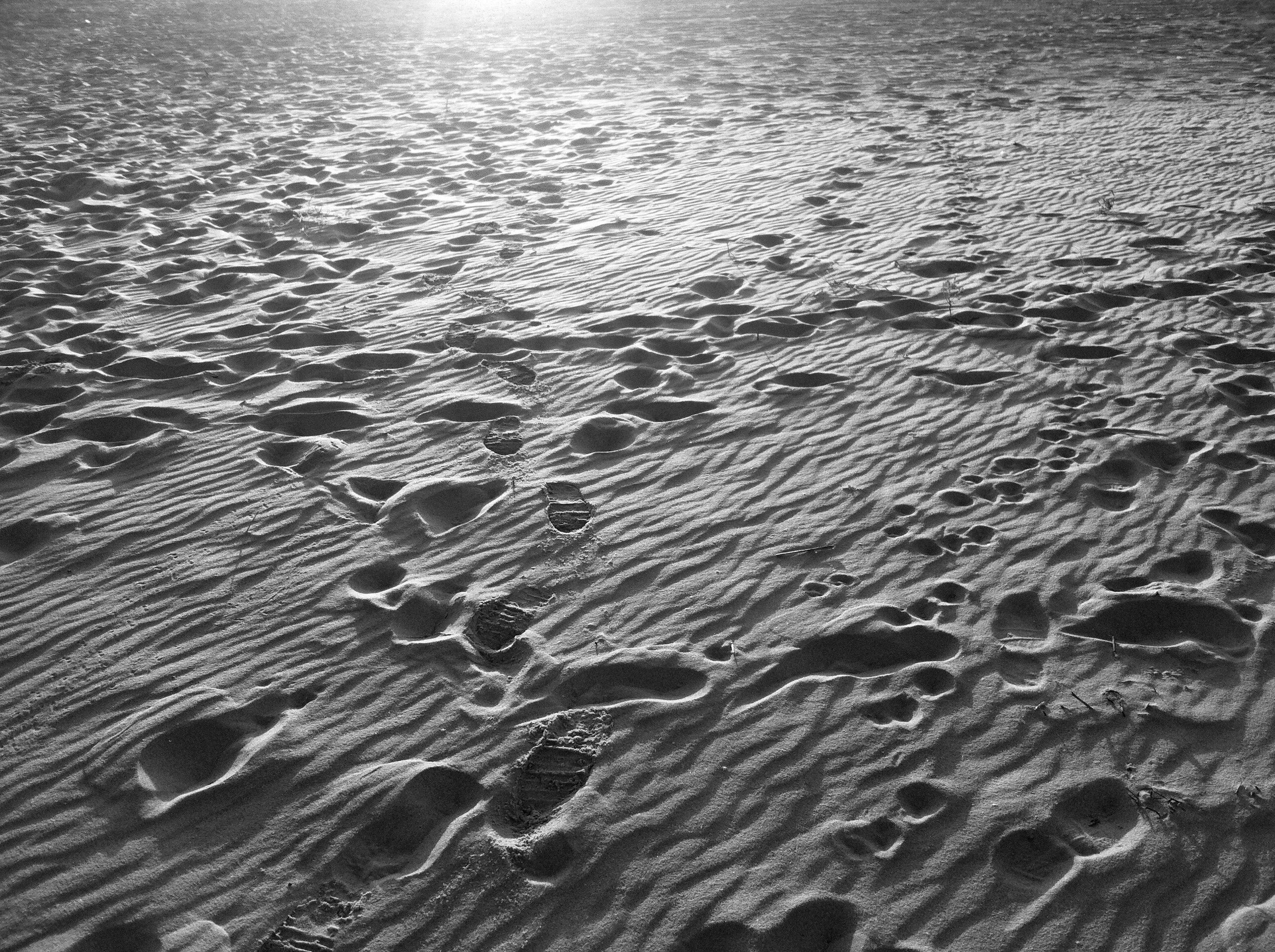 IMG_1838 copy.jpg