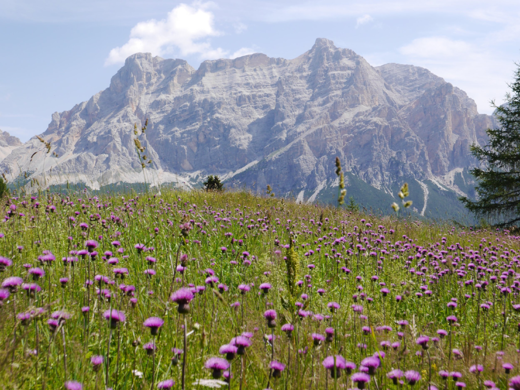 In 2009 the Dolomites were put on Unesco's list of world's protected natural paradises.