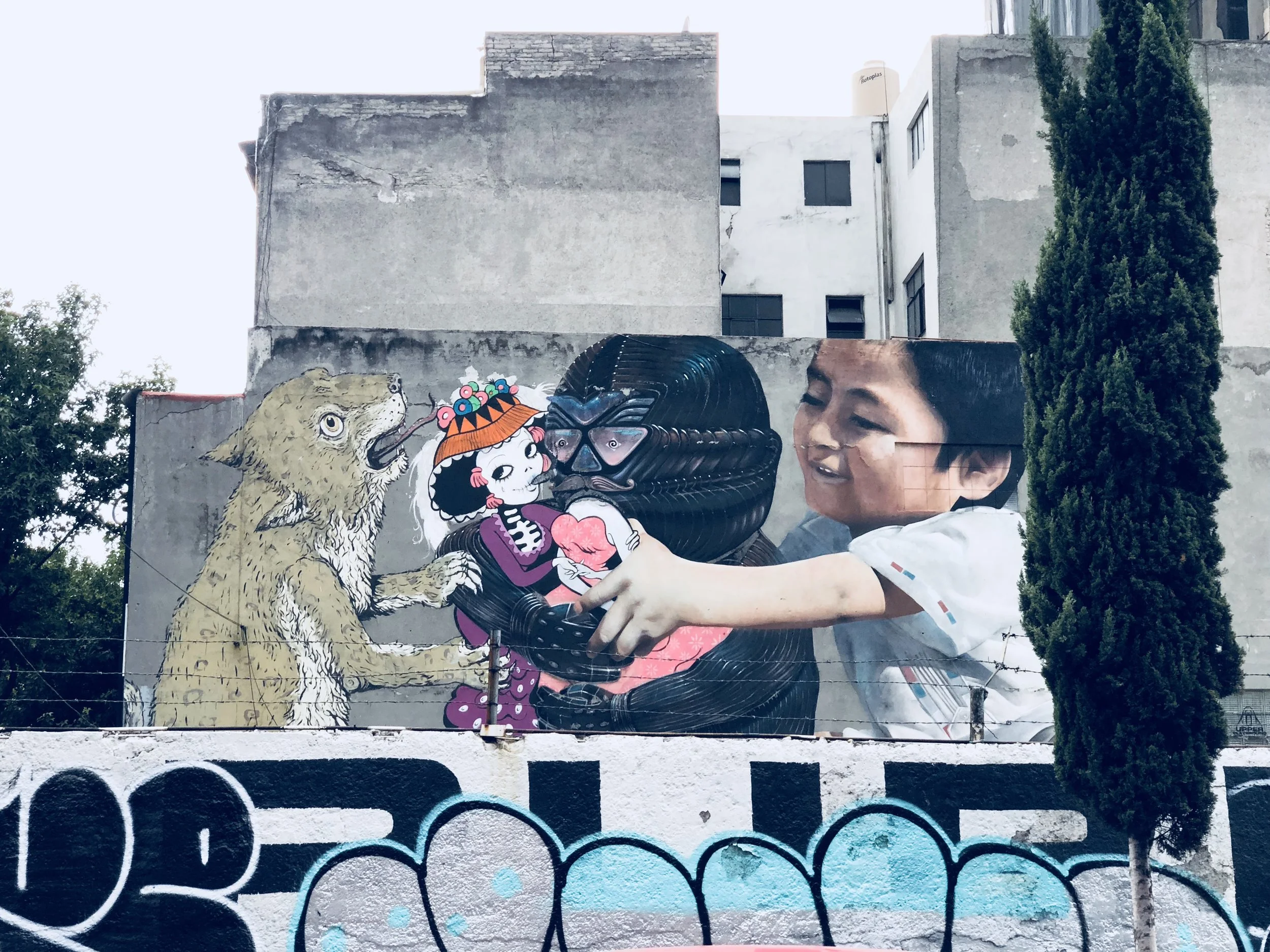 0016AA6E-083C-42B1-BF5E-93B371C30176.jpeg