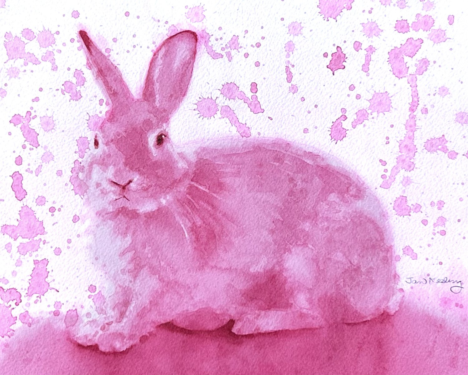 The Rose-Colored Rabbit (Copy)