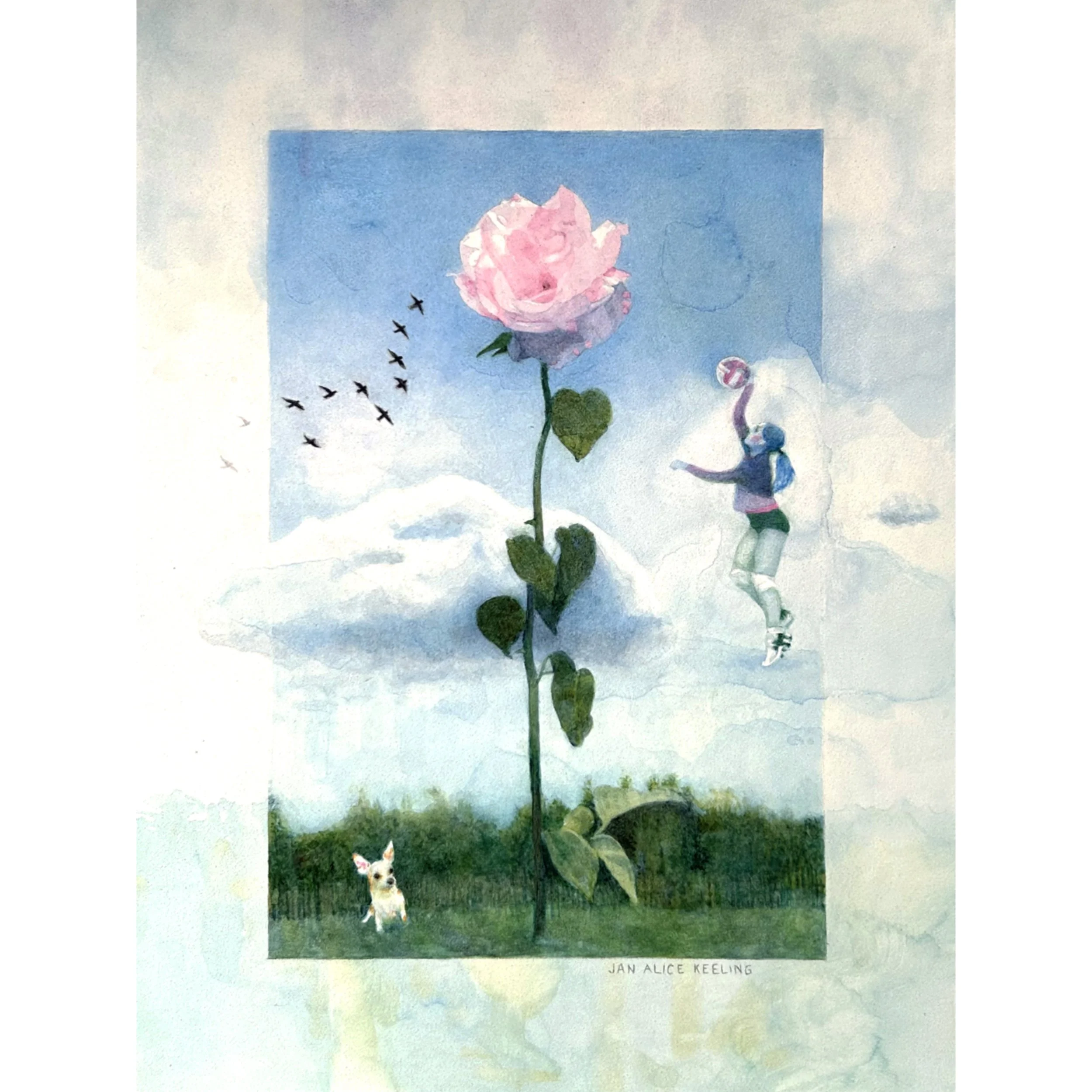 ROSEATE (Copy)