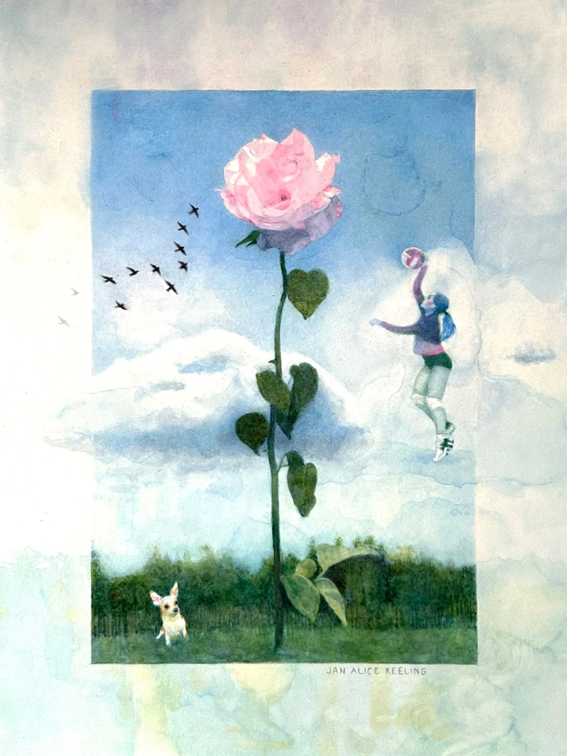 ROSEATE (Copy)