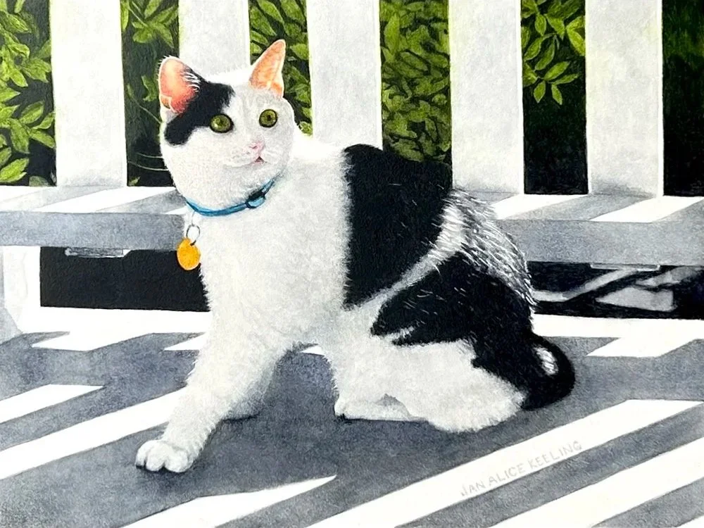 Cat on a Deck (Copy)