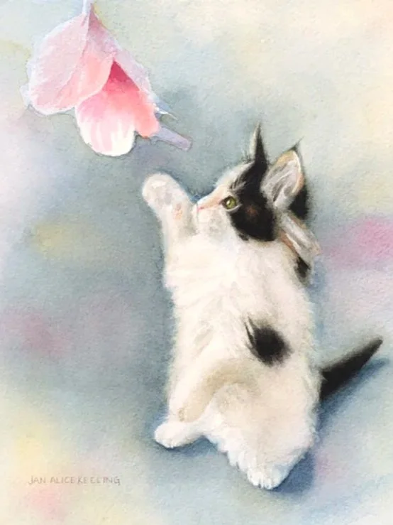 Feathers and Kitten (Copy)