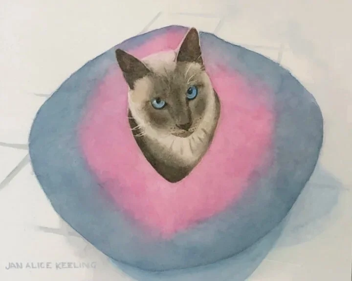 CAT IN A BERET (Copy)