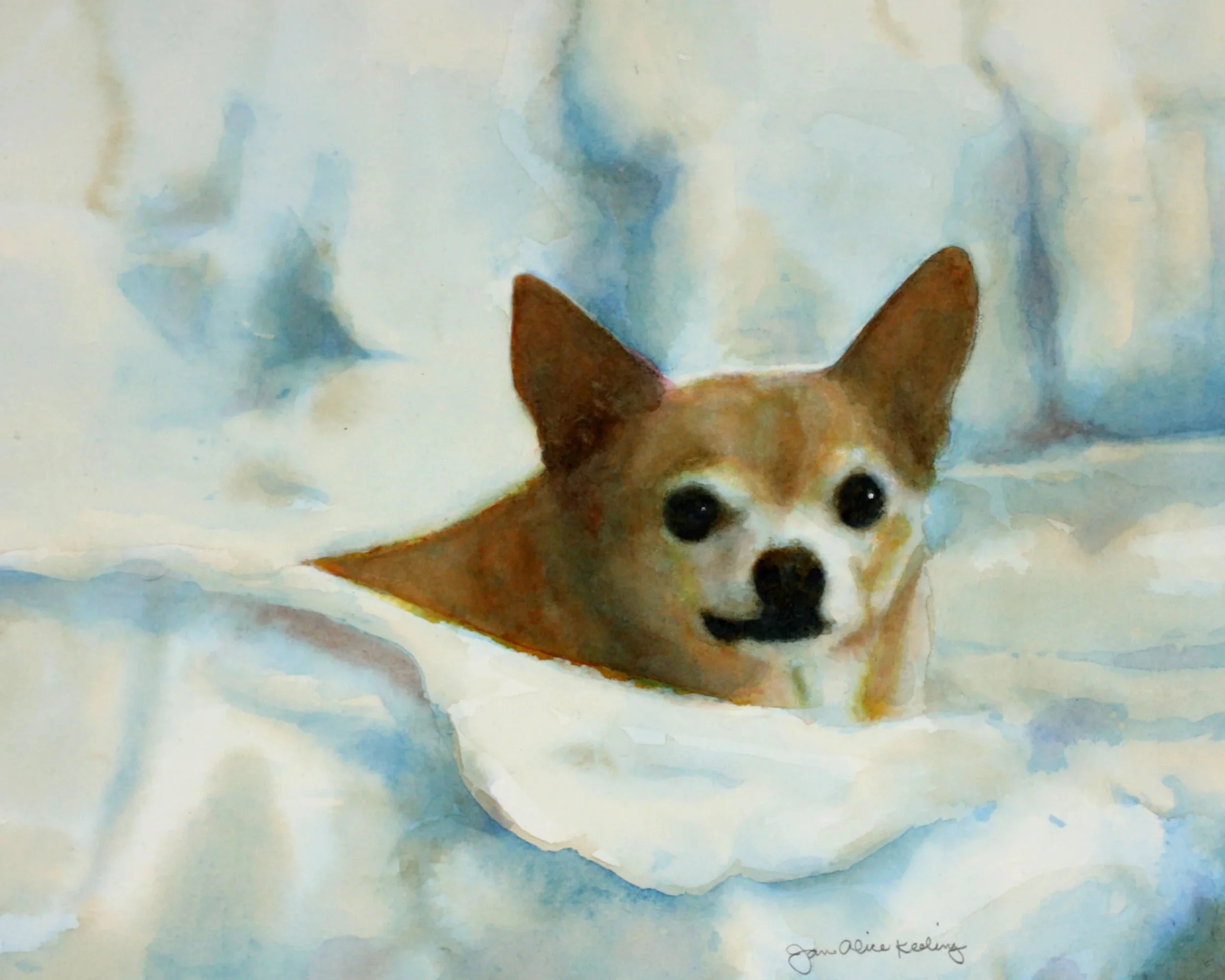Peanut Junior (Copy)