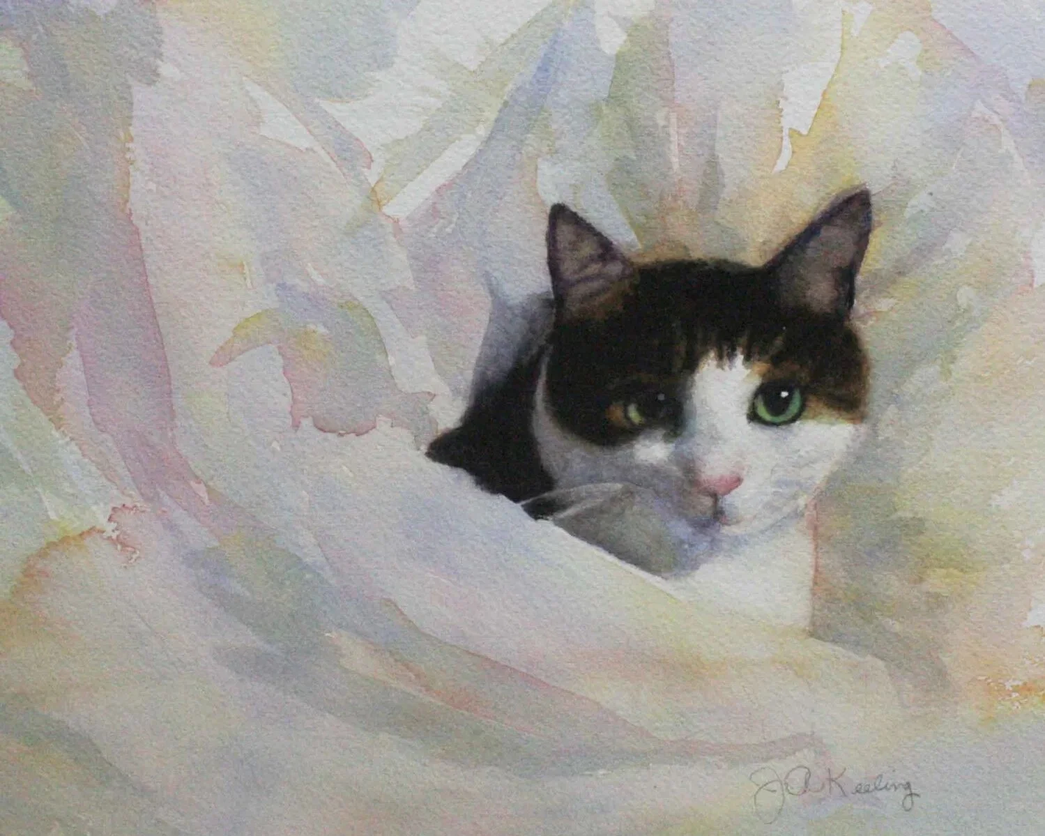 BABY CAT (Copy)