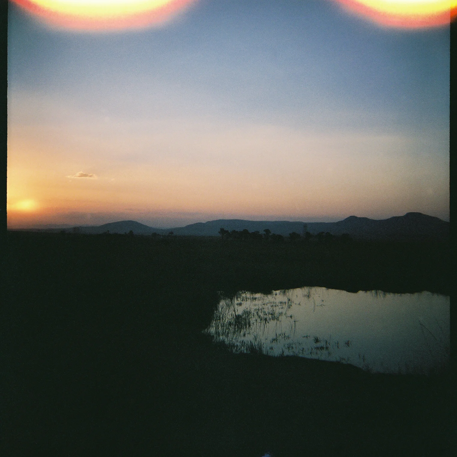 Nambiti Reserve, South Africa March 2016