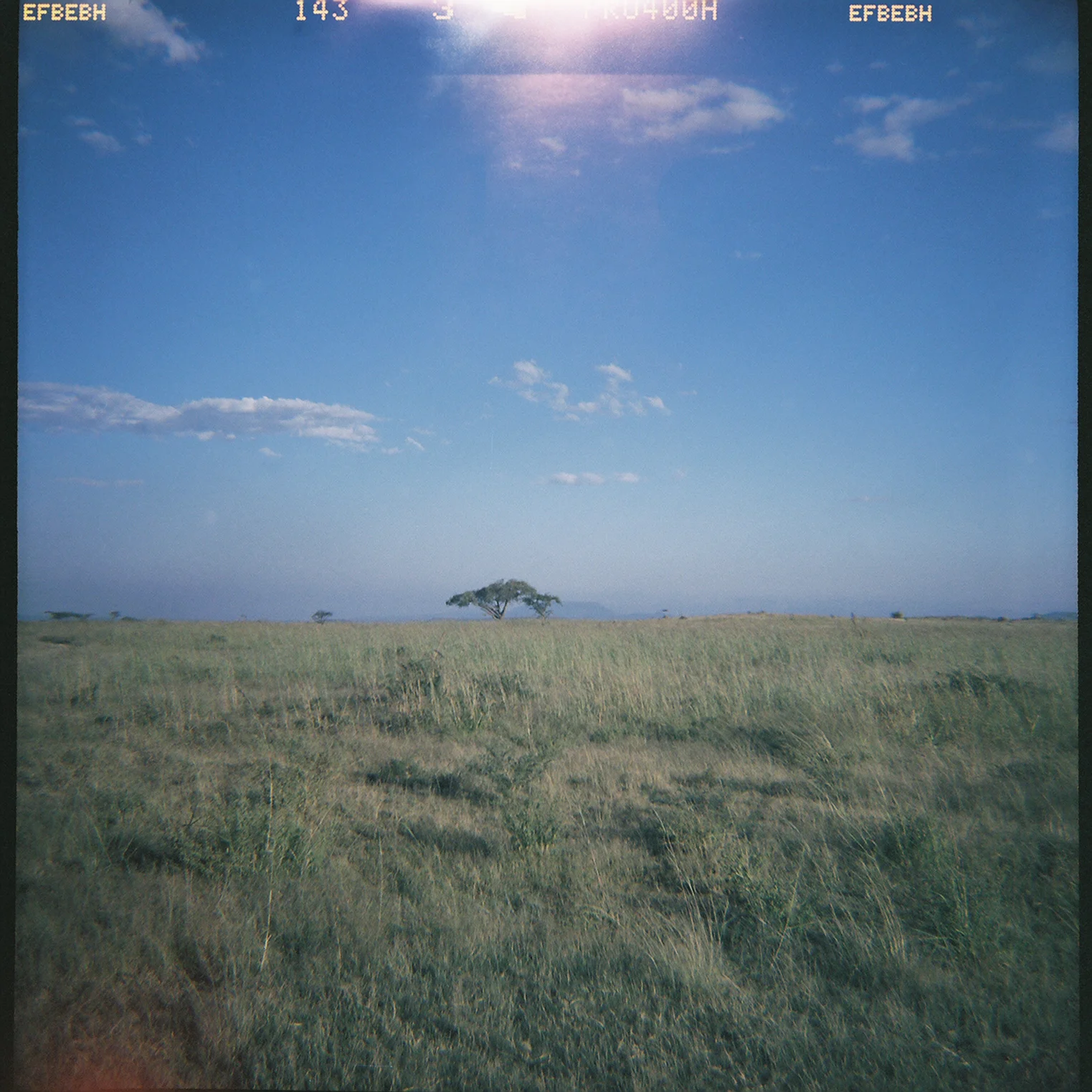 Nambiti Reserve, South Africa March 2016