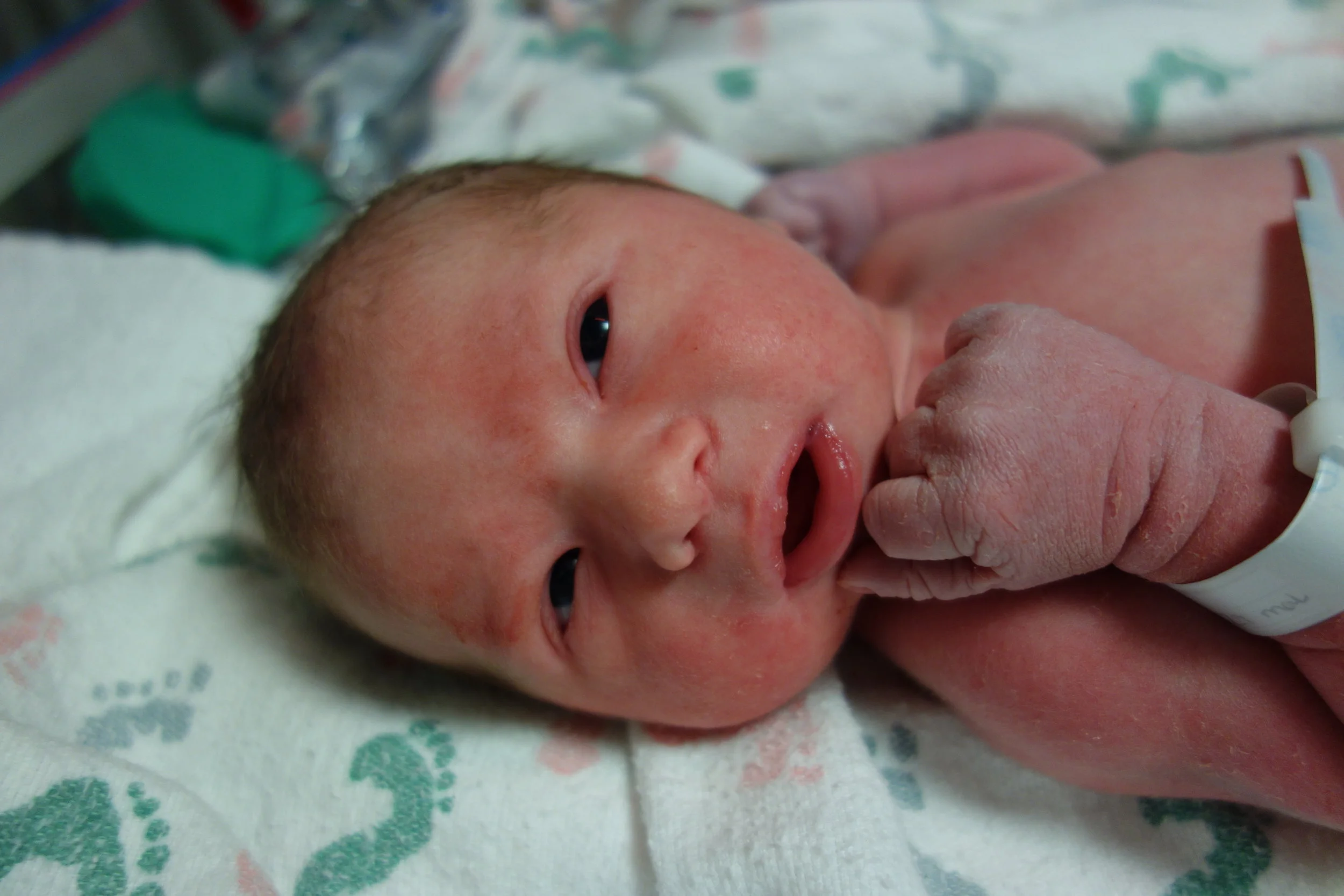 Wolfe's Big Day!