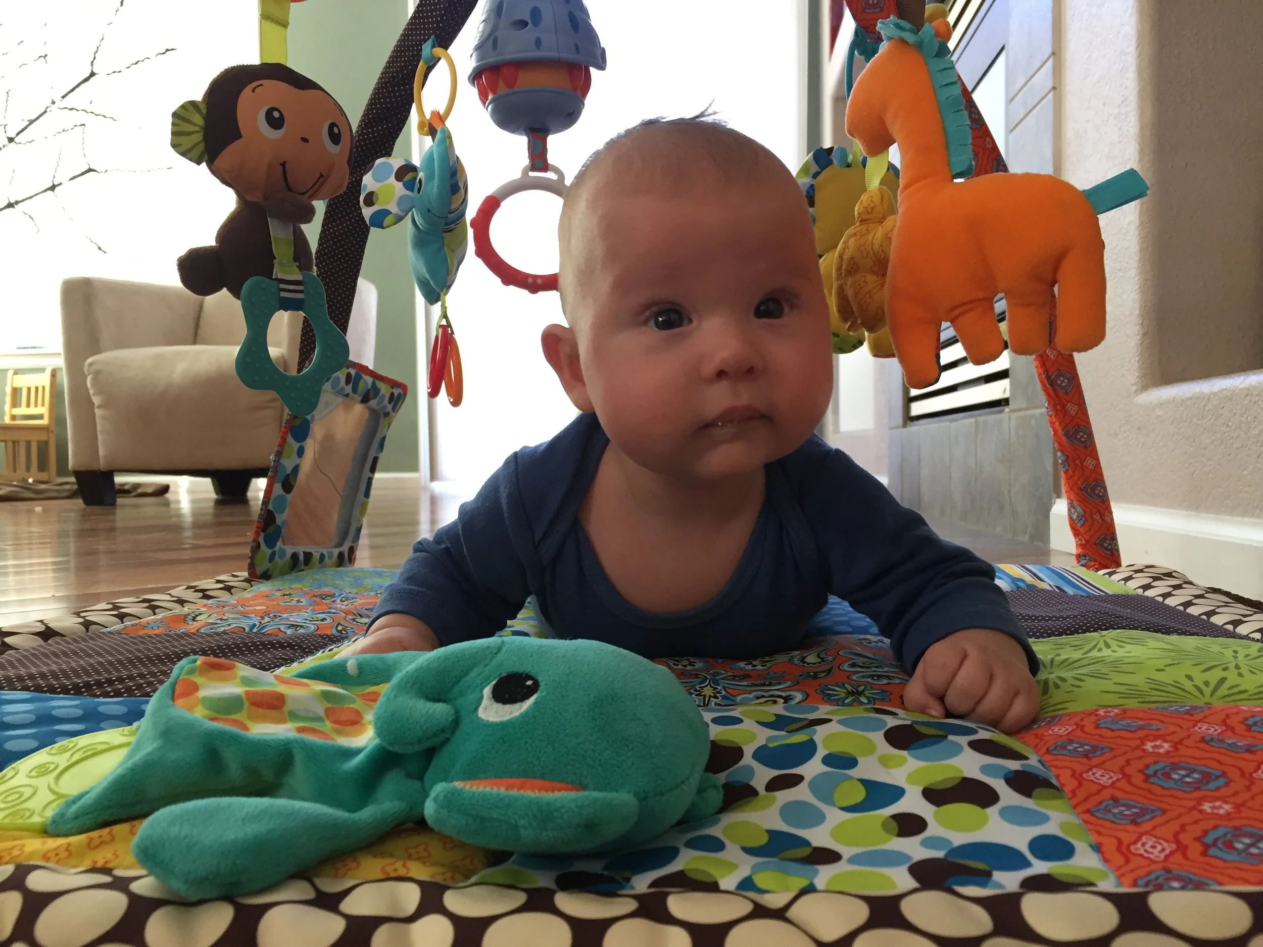 Wolfe Update - Four Months