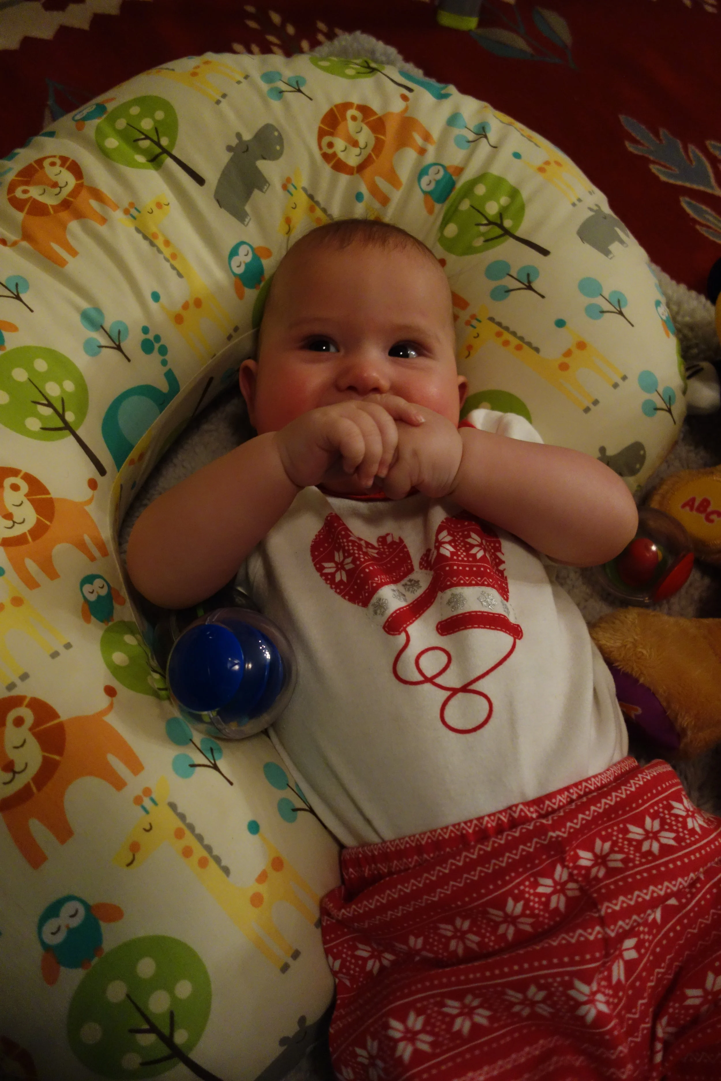 Wolfe's First Christmas