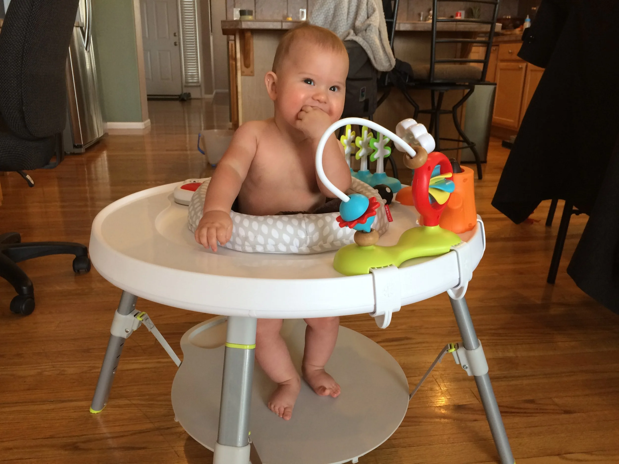 Wolfe 6 Month Update