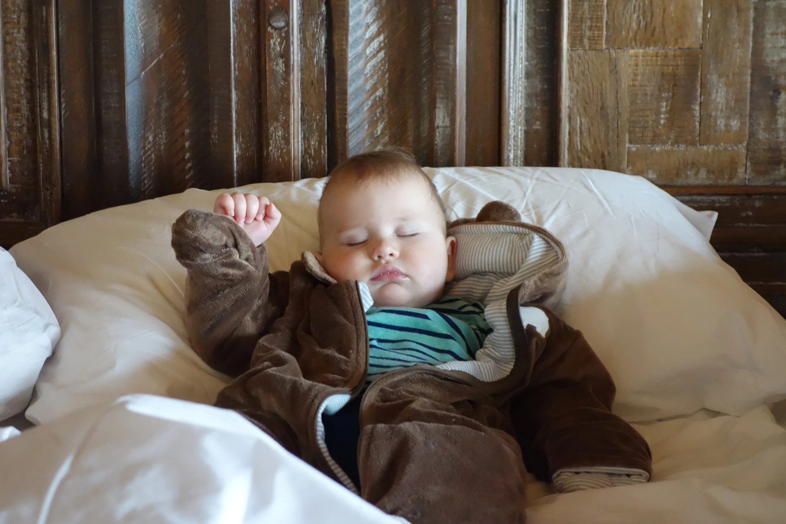 Wolfe Goes to the Mountains