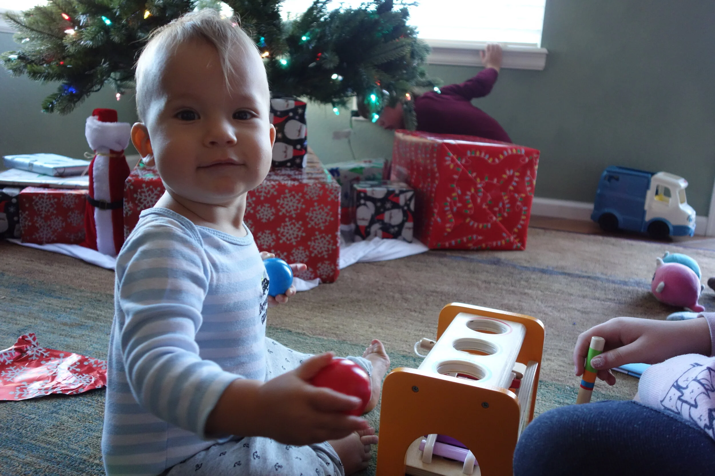 Raven's 1st Christmas