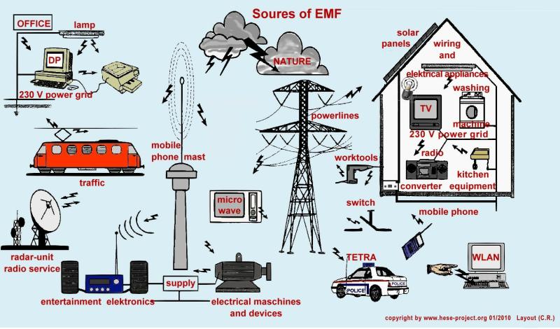 emf.jpg