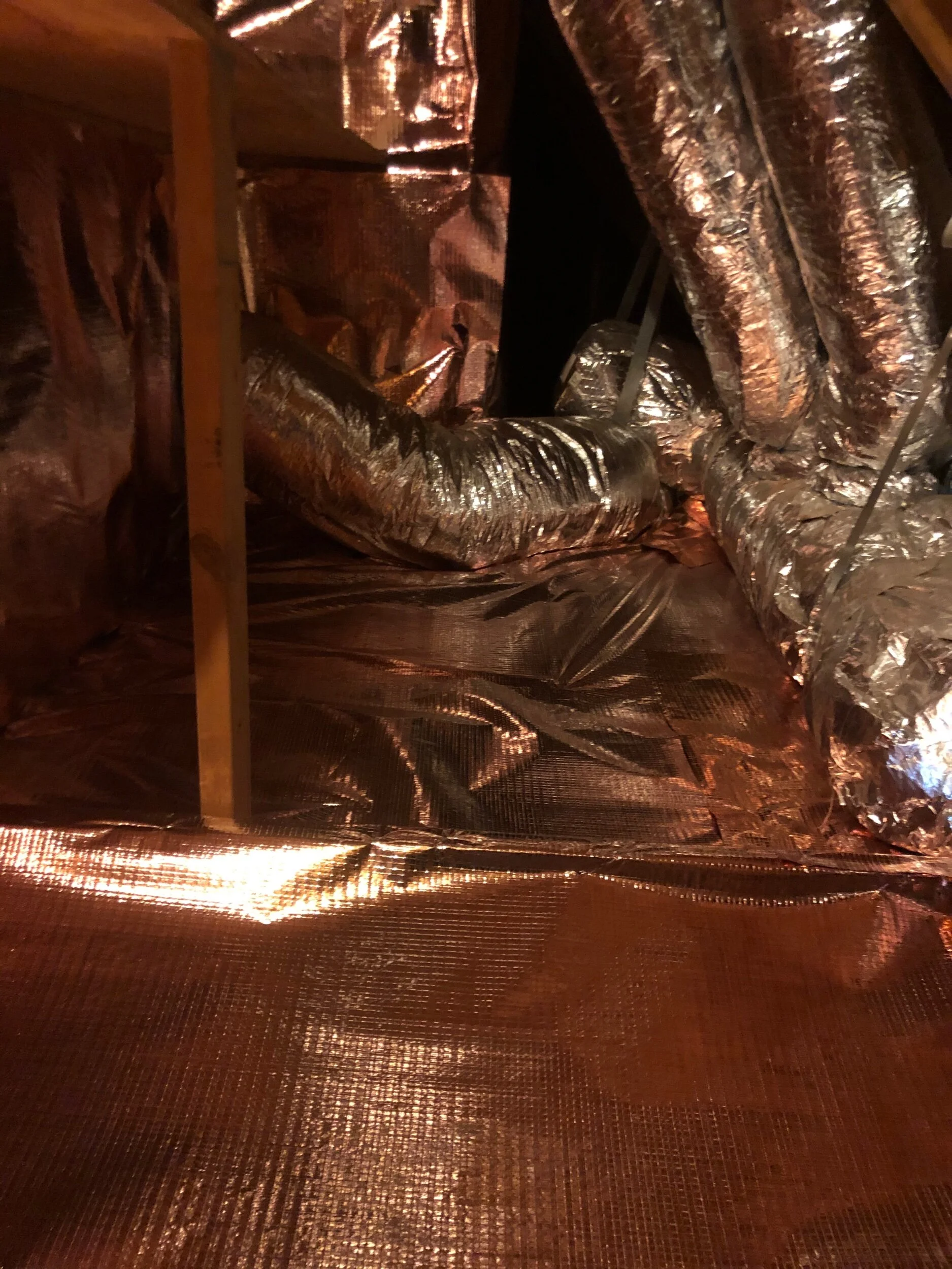 D17496AC-AB03-42E2-AD0D-FDCA8141FF07