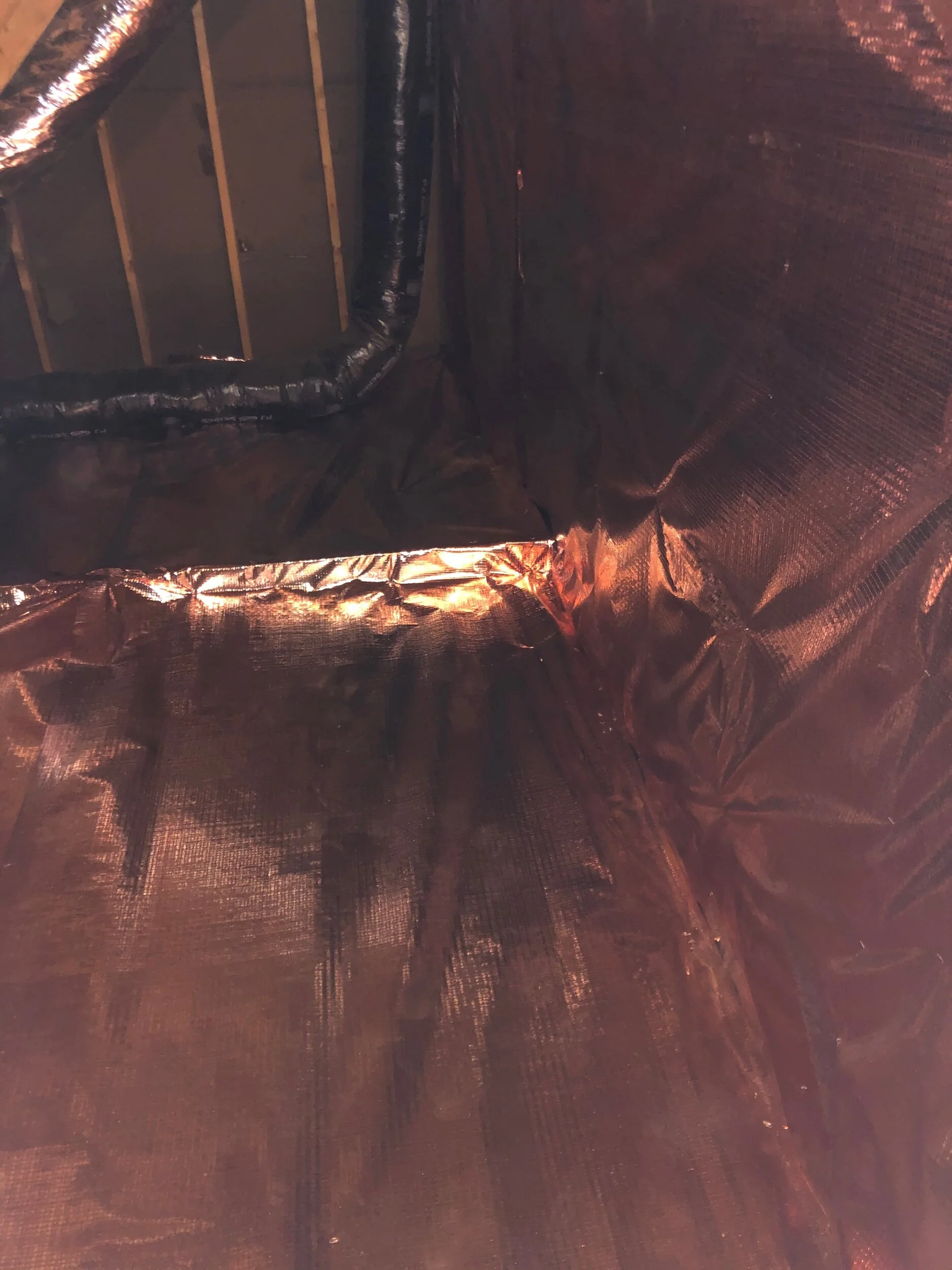 529DB78F-CC93-4F5C-A7F6-2603DD1B7380