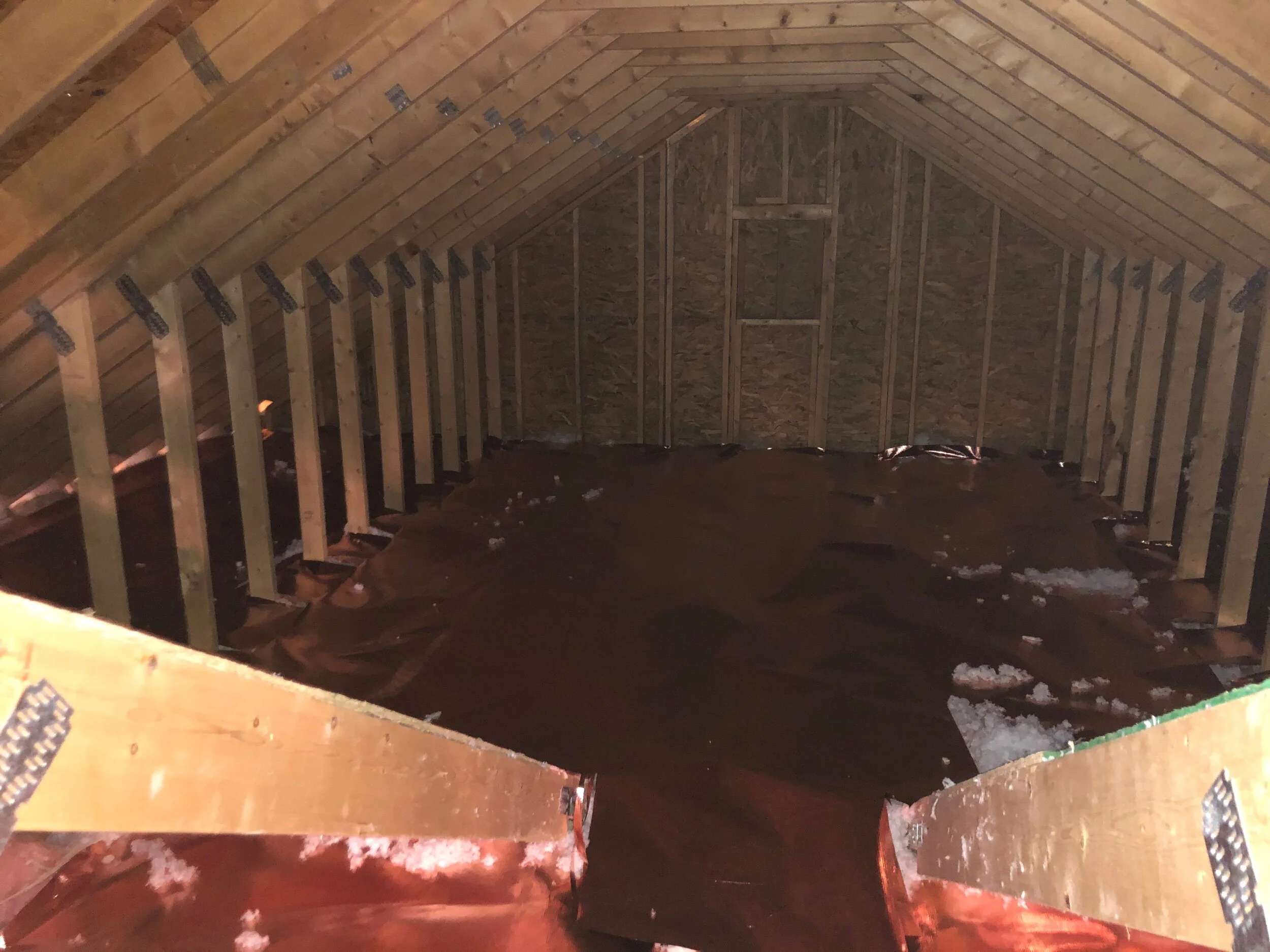 3558BB5A-F1F0-4B10-8E11-57520EC4F1D0