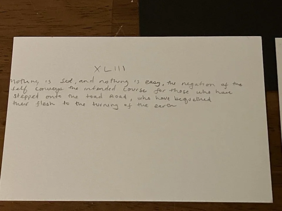 IMG_5572.jpeg