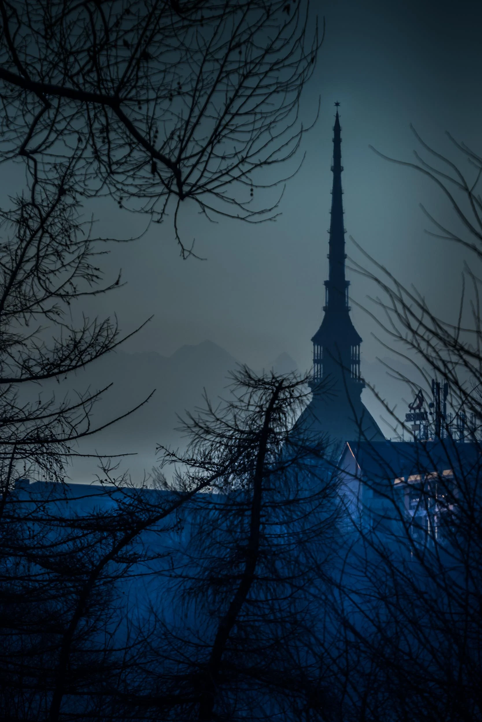 LA MOLE ANTONELLIANA