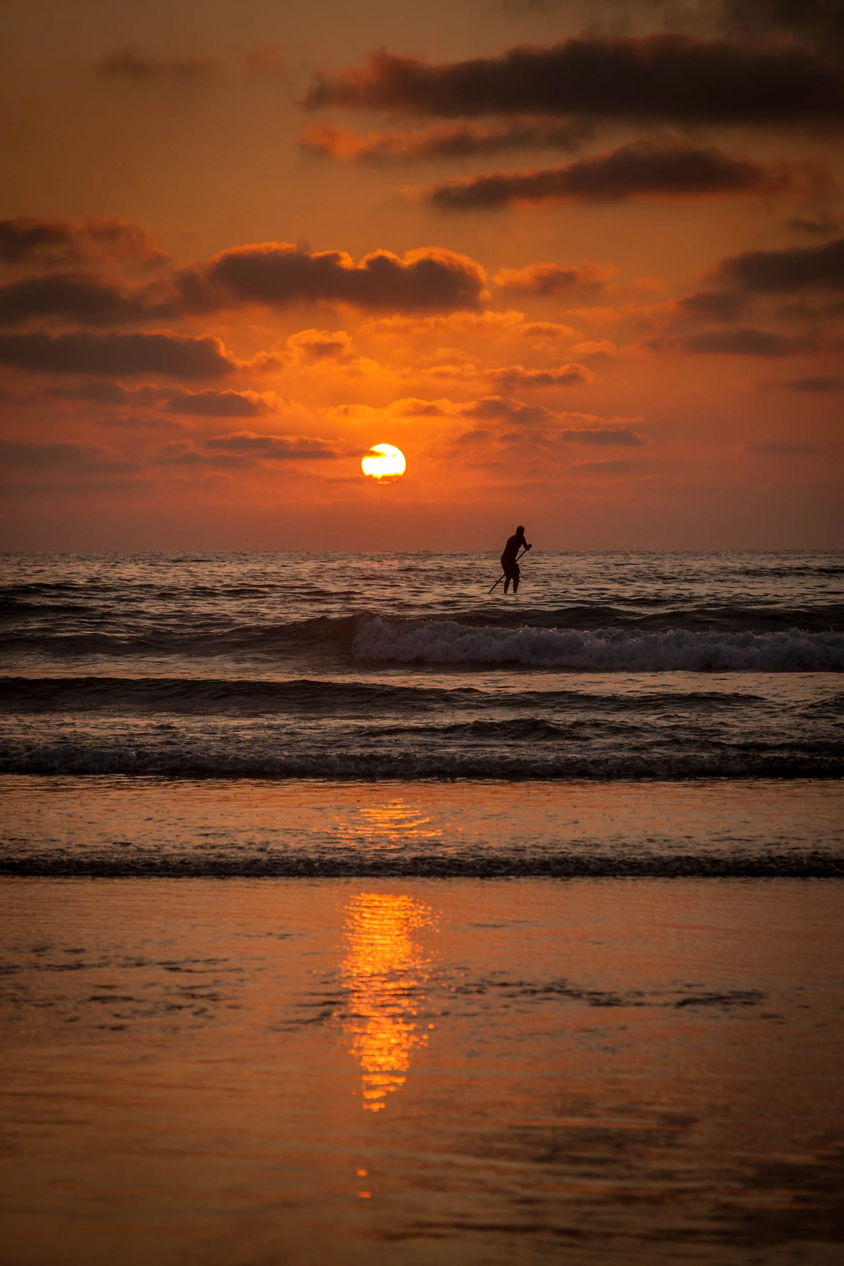 SUNSET PADDLE BOARDER AT LA JOLLA SHORES, CALIFORNIA.