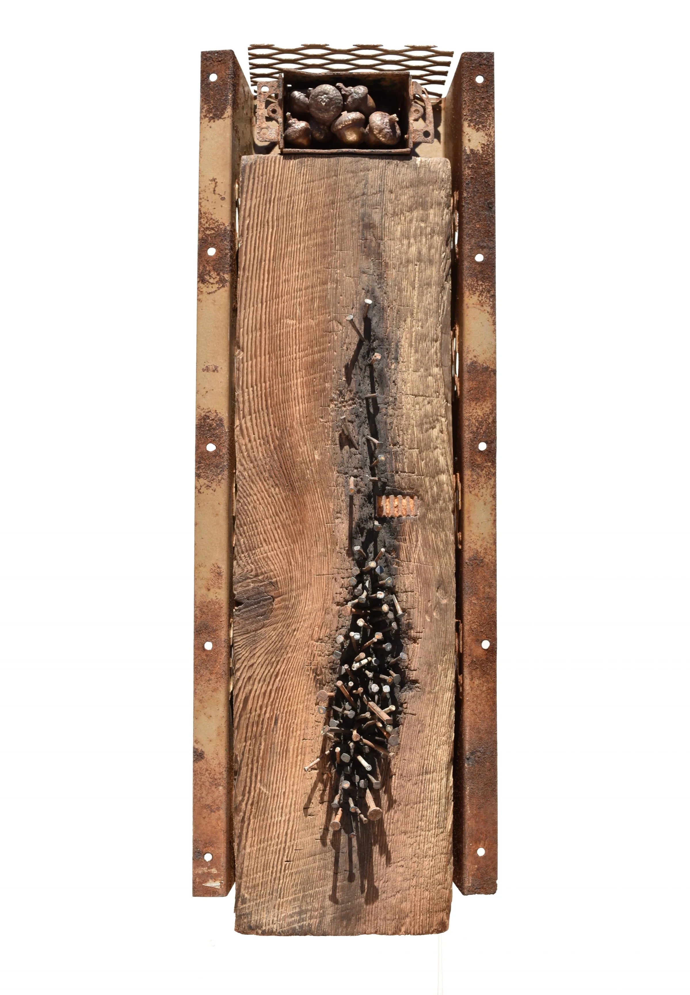 Nesting Behavior, 2017 <br> cast bronze, wood, steel <br> (7'' x 21'' x 3'')