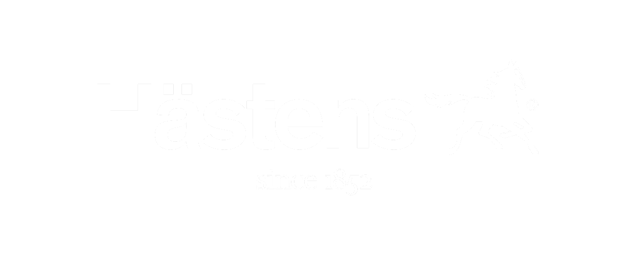 Motivational-Speakers-Hastens.png