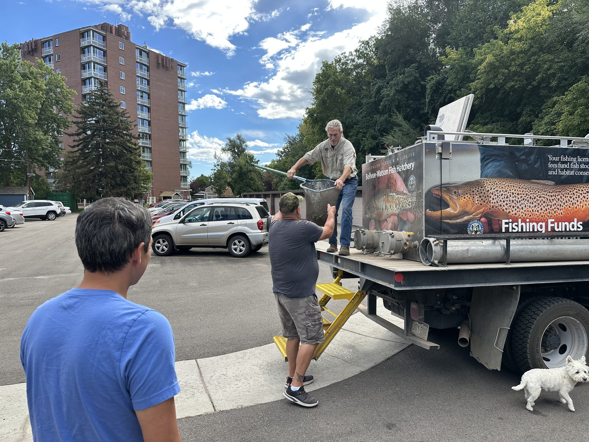 Fish and Game Club members taking a net of fish from the CPW stocking truck to the rearing runs at the fish farm.