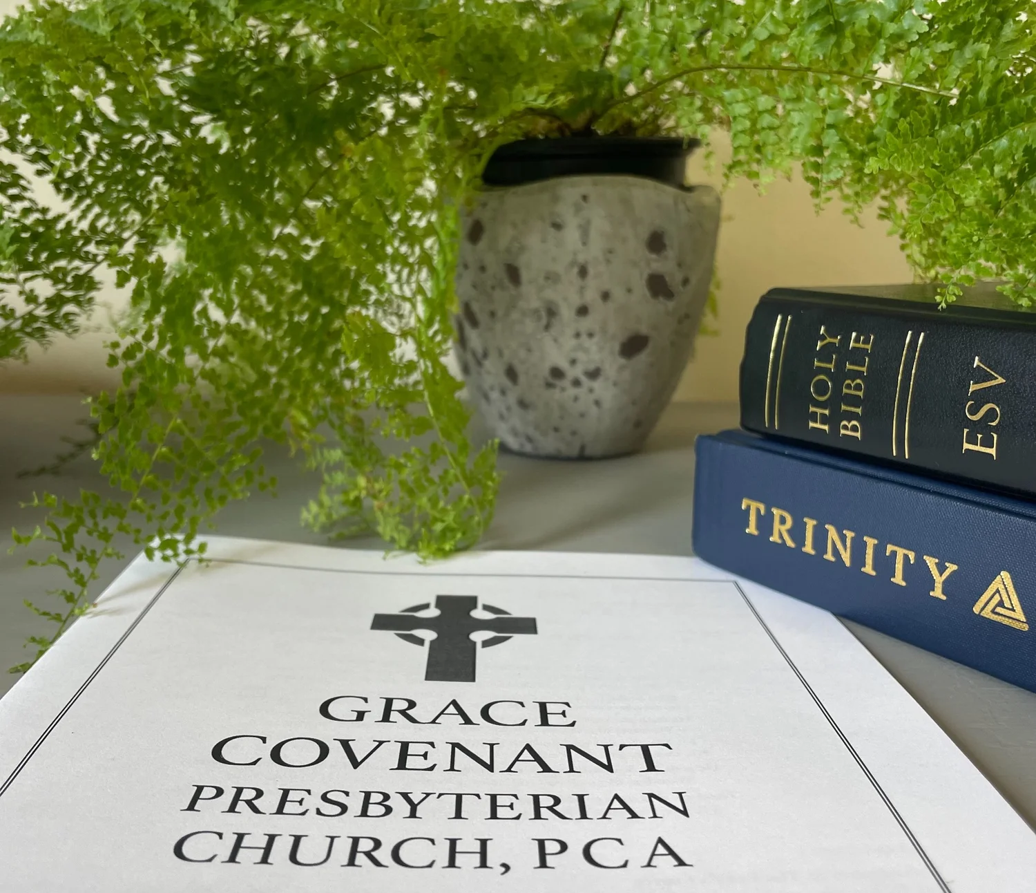 what does the pca church believe