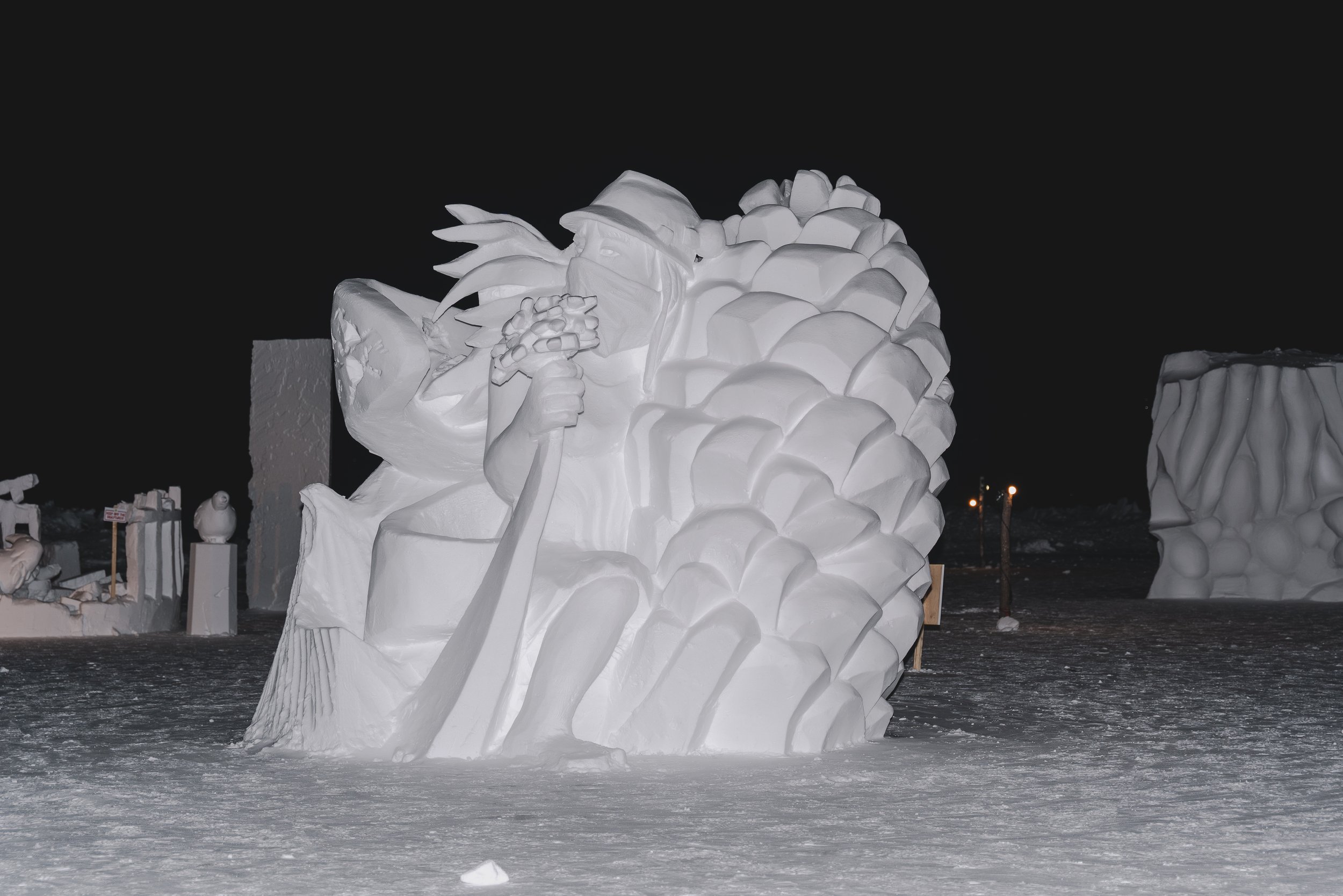 Sarah Pruys_SWF_Carvings at Night (March 6, 2024)_8.jpg