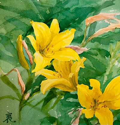 Yellow Lilies 