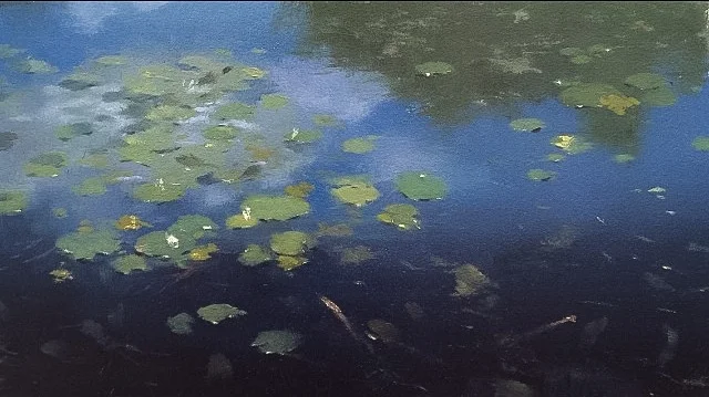 Water Lilies (Cropped)