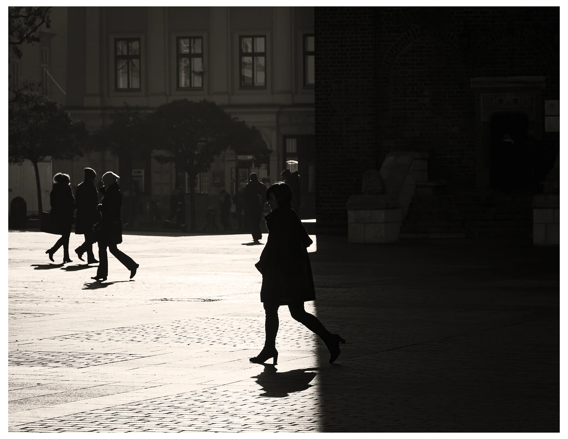 Shadows of Krakow