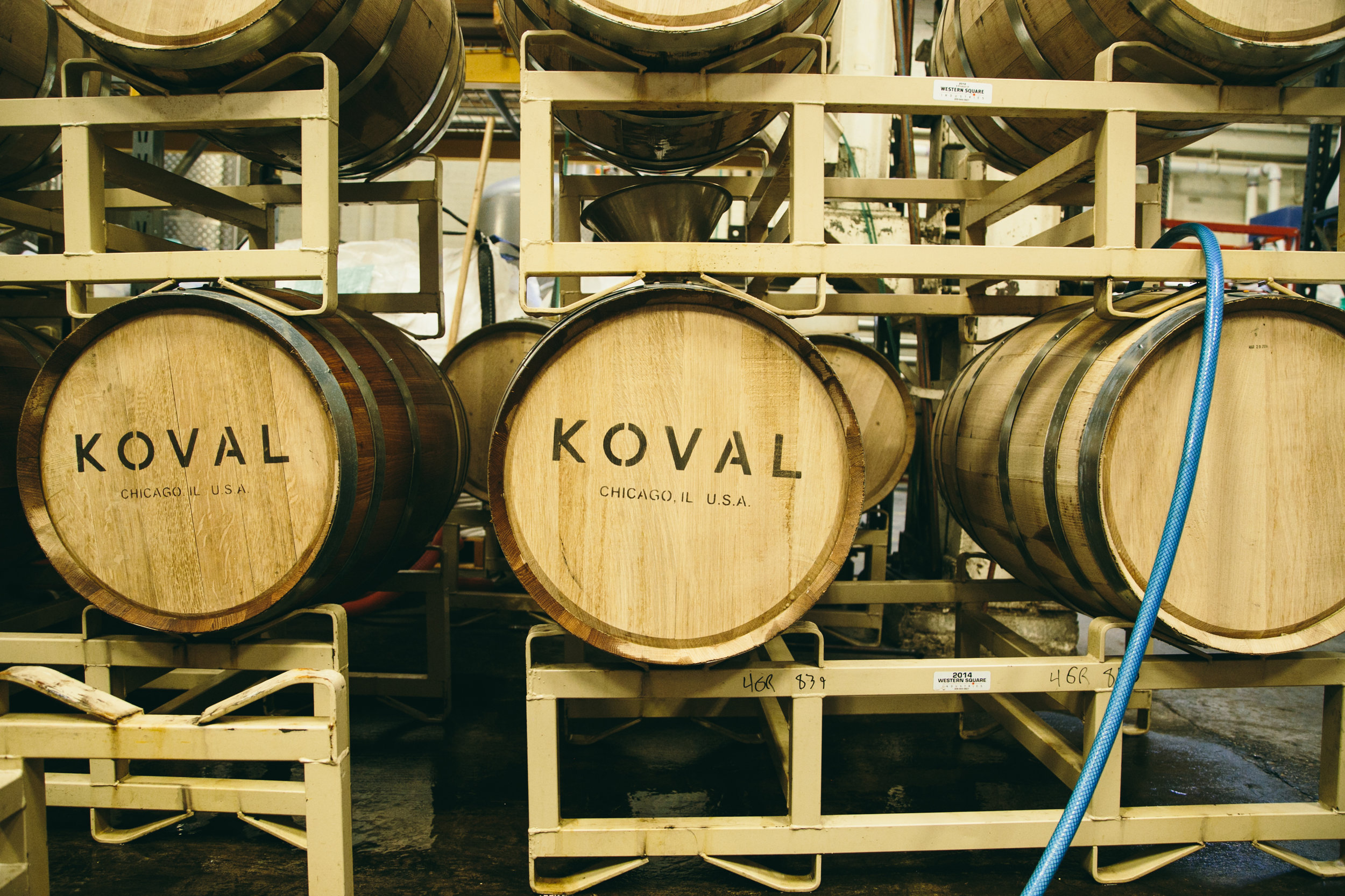 Koval-13.jpg