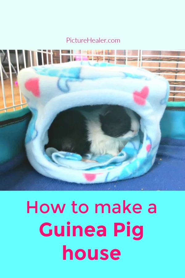 diy guinea pig hidey