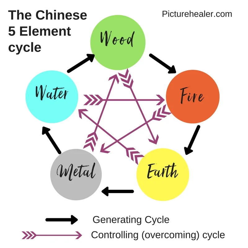 5 element Generating Cycle.jpg