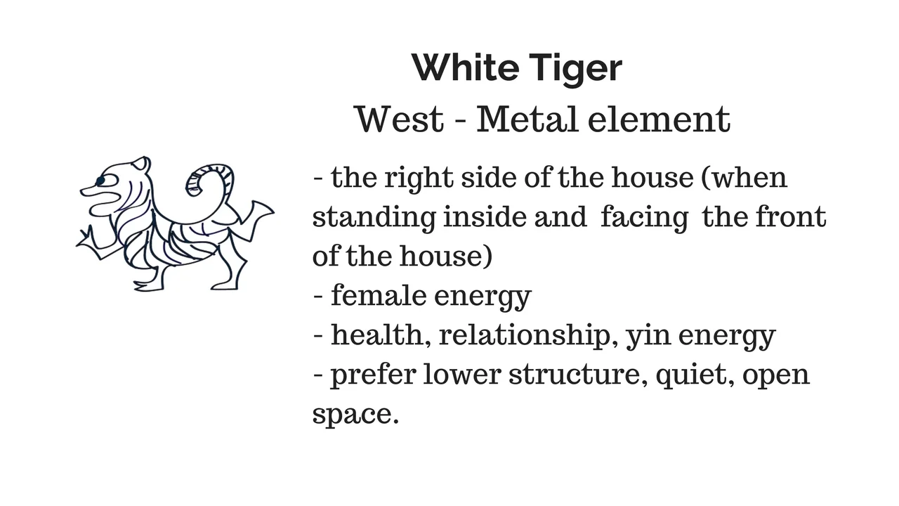 white tiger.jpg