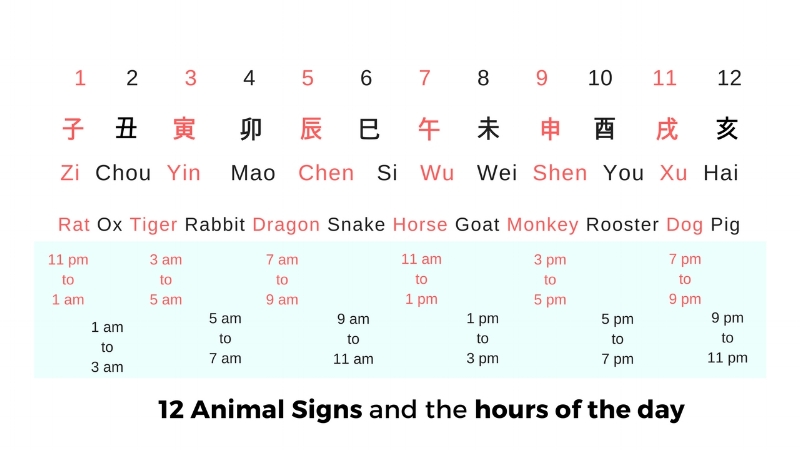 Chinese 12 animal signs and their lucky time and directions — Picture  Healer - Feng Shui and fortune telling