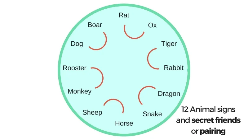 12 animal secret friends.jpg