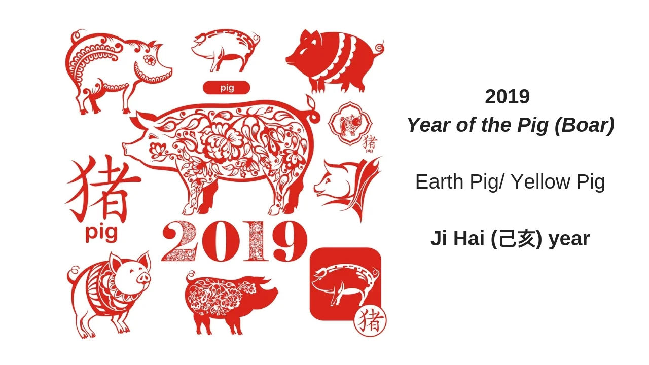 2019 Pig Year (2).jpg