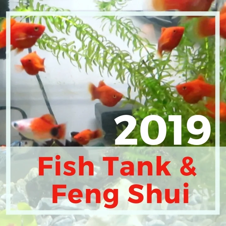 Best Place To Set Up Feng Shui Fish Tank In 2019 Picture Healer Feng Shui Craft Art Chinese Medicine