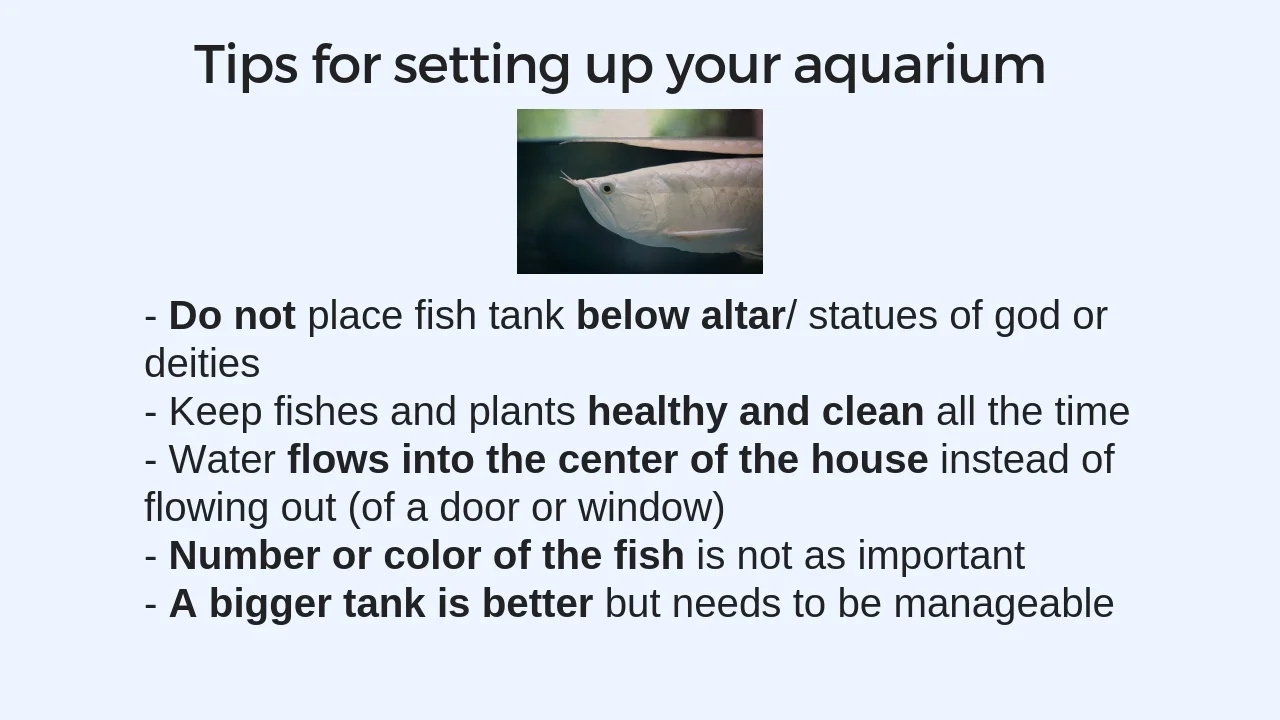 Fish tank 7.jpg