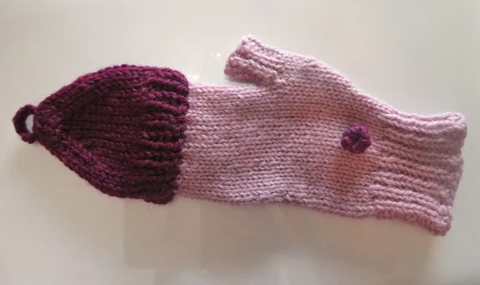 convertible mitten 2.jpg