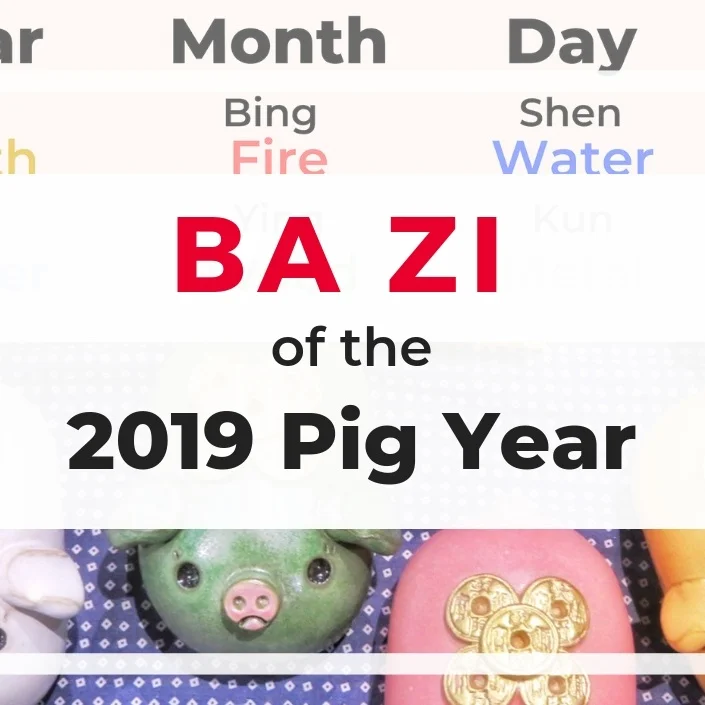 2019 Year of the Pig (Boar) Ba Zi chart and analysis