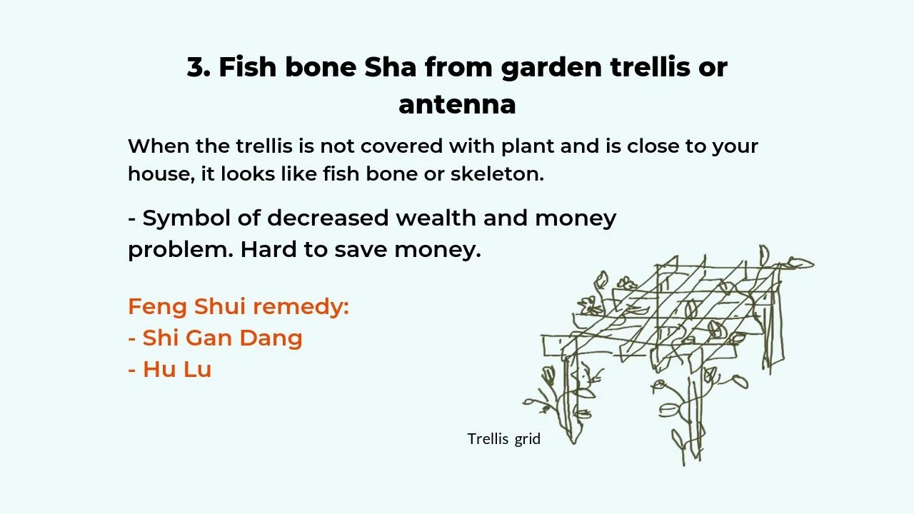 sha 4.jpg