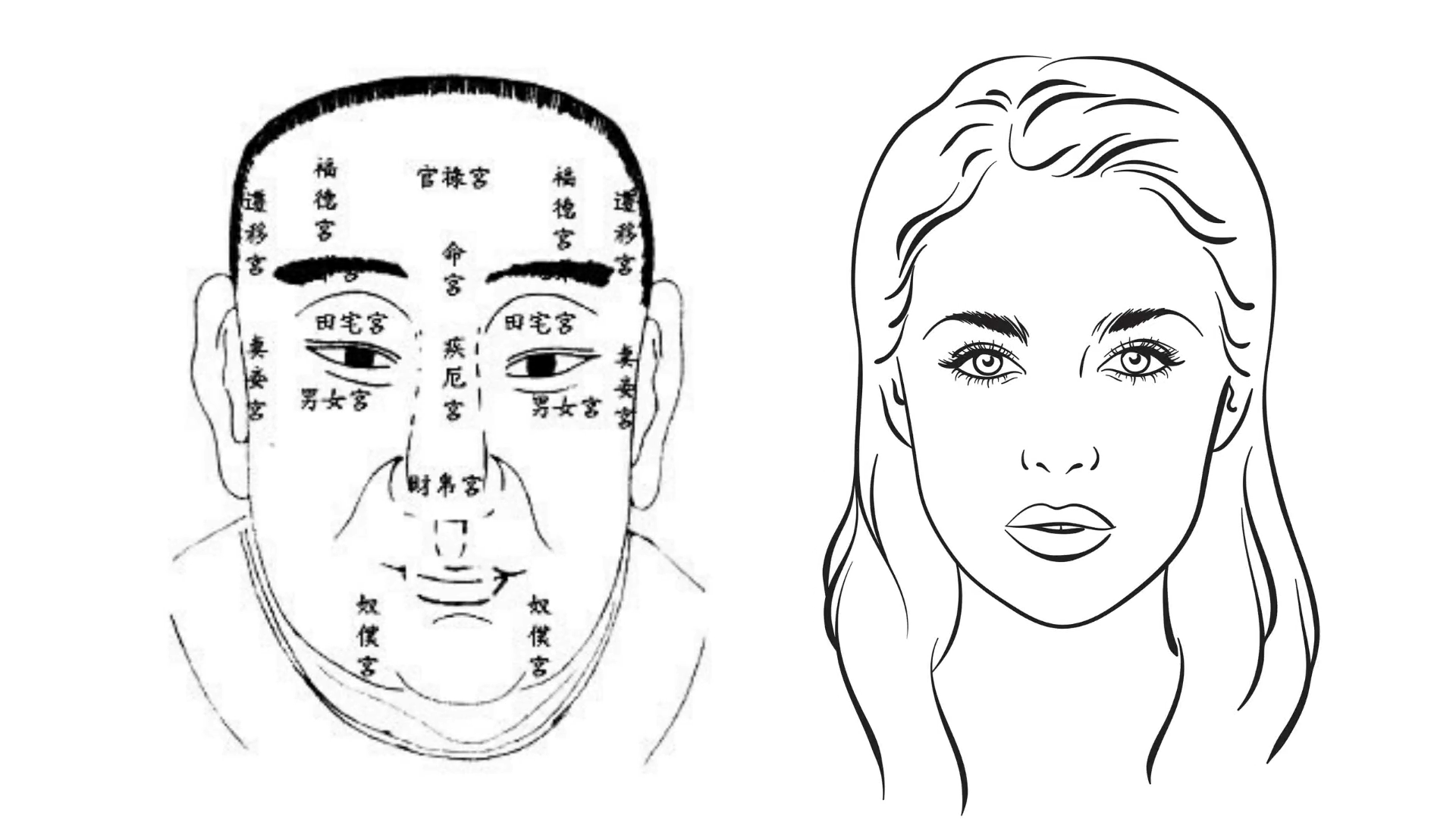 Method face. Черты лица рисунок. Китайское чтение по лицу. Картинка с тремя лицами методика.