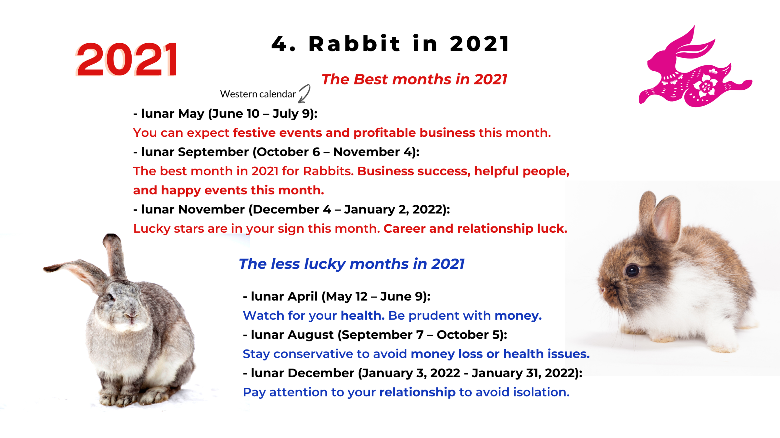 新作グッ TANK RADrabbit 2021 / rabbit - タンクトップ - blog.rabincash.com