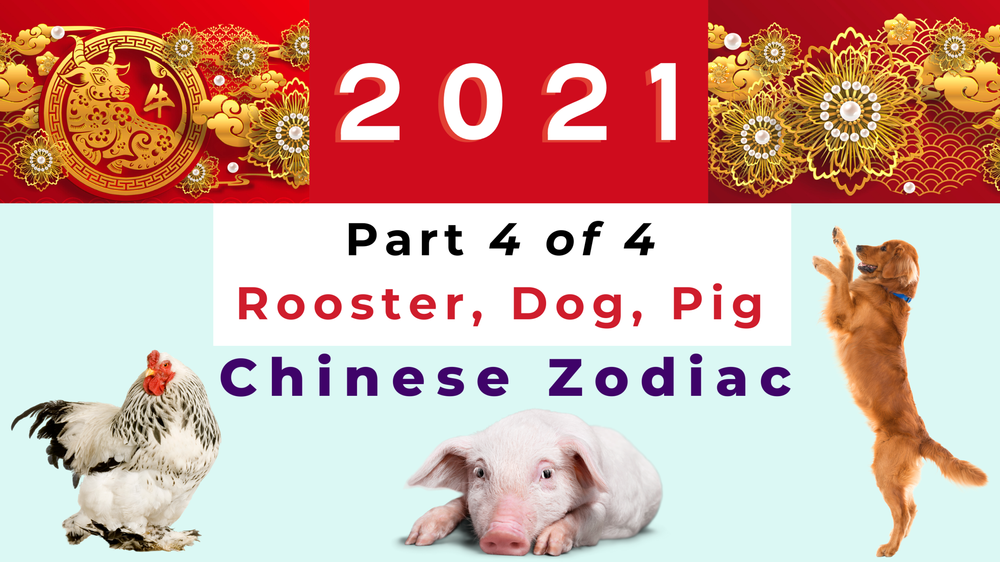 2021 Ox Year Part 4 Of The Chinese Zodiac Analysis Rooster Dog And Pig Picture Healer Feng Shui Craft Art Chinese Medicine